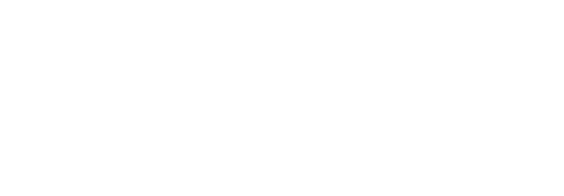 THE LIVE TWIN TYPE